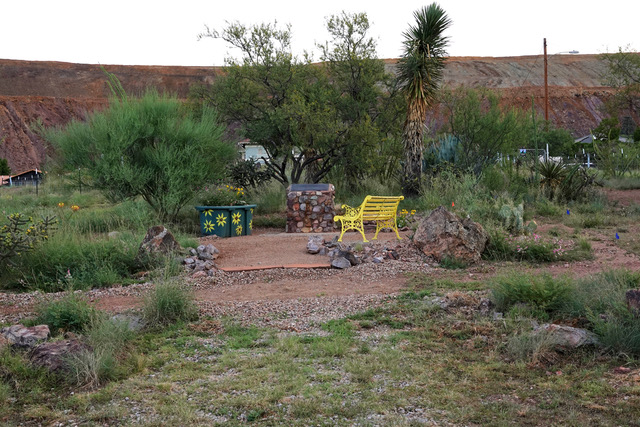 events at Brisbeen Wildlife Project